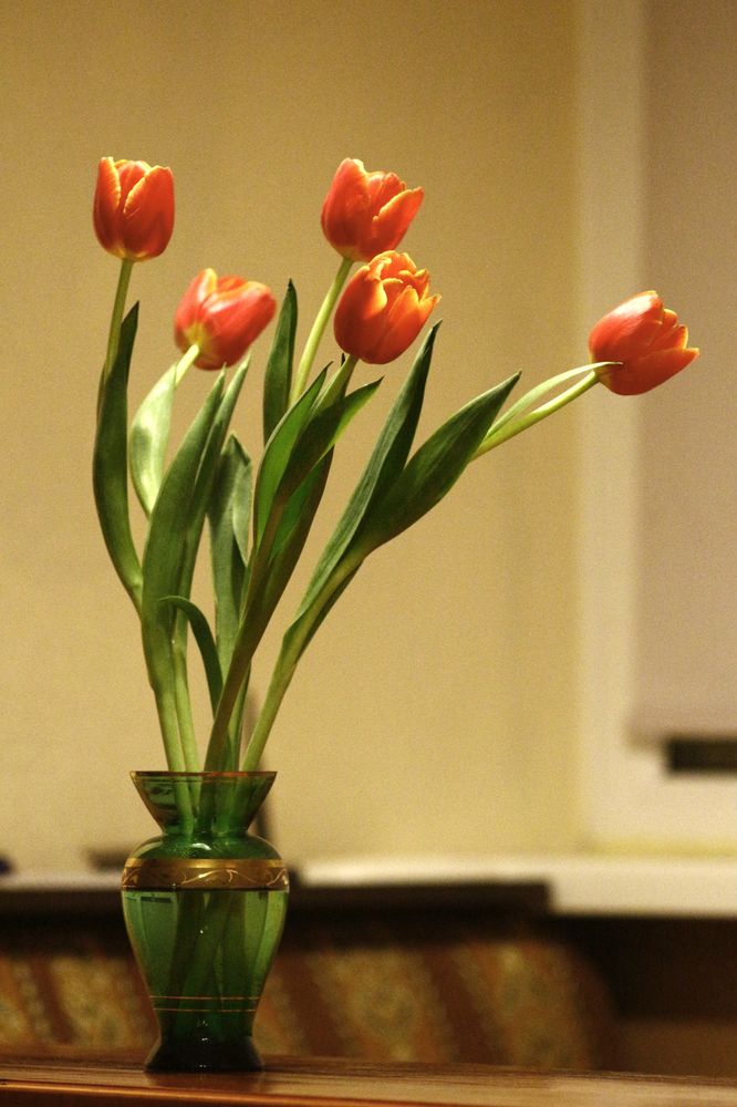 Photograph by Дмитрий Поляков