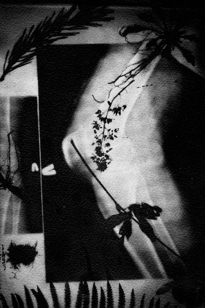 Photograph by Мария Андреева
