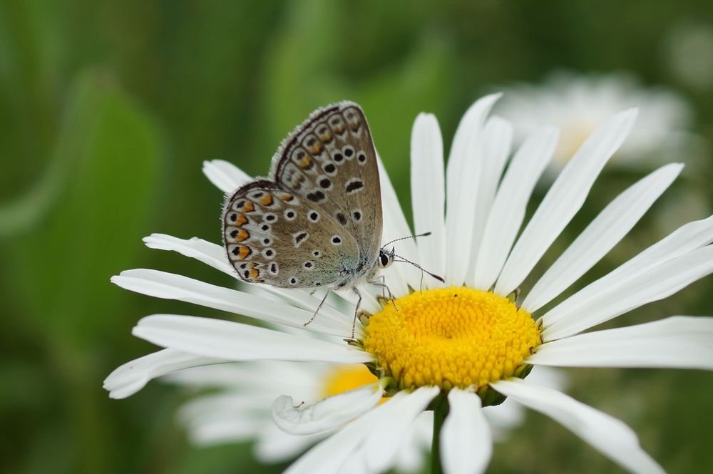 Photograph by Ольга Слугина