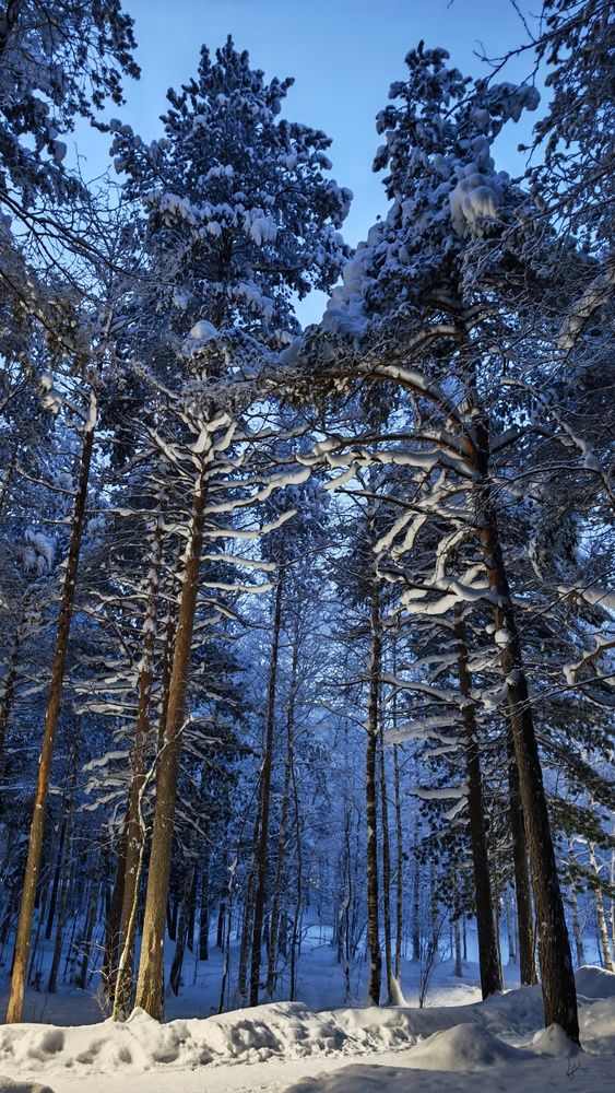 Photograph by Дамир Низамов