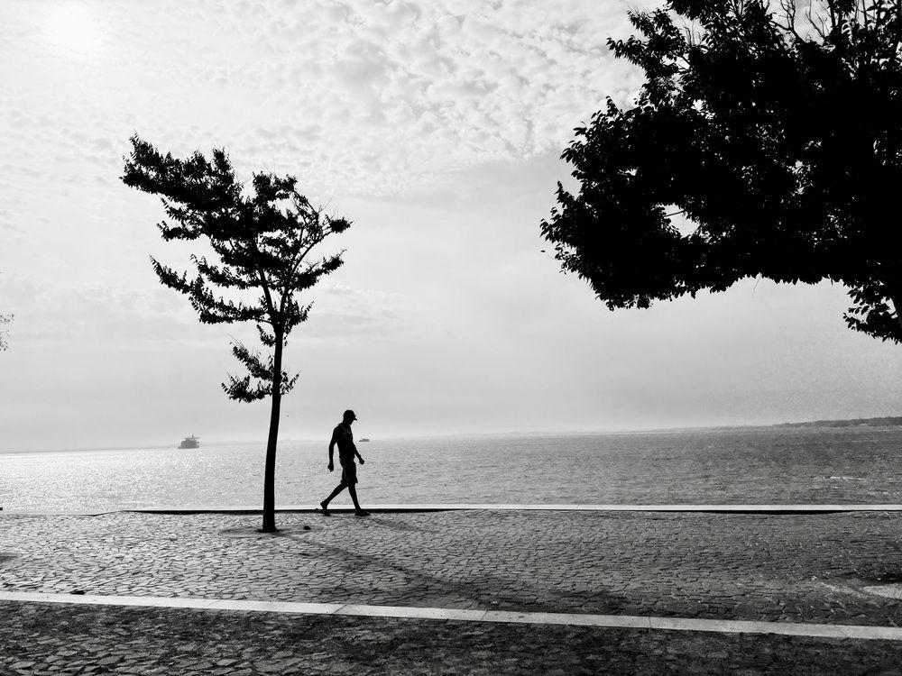 Photograph by Анастасия