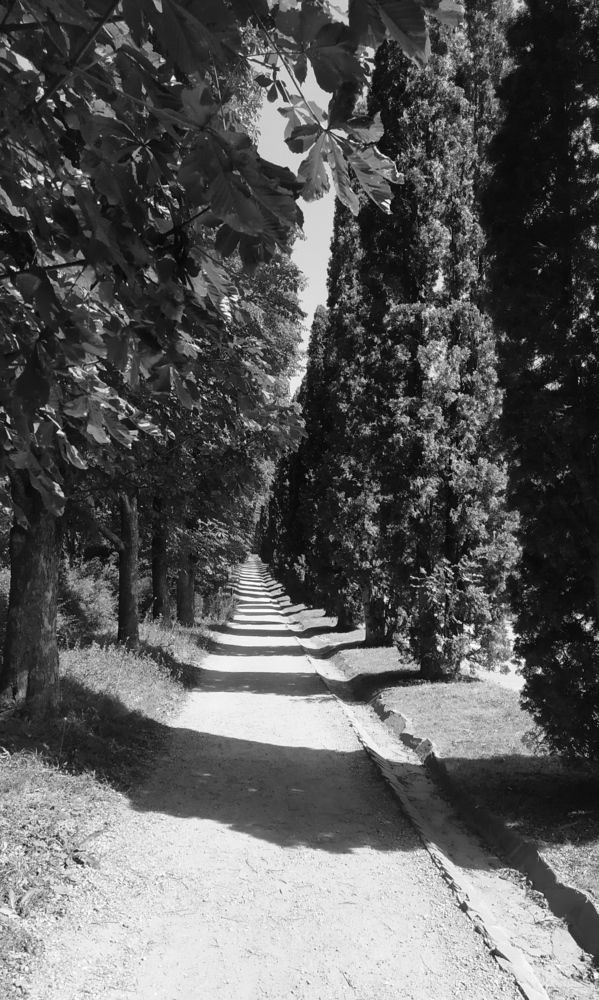 Photograph by Анна