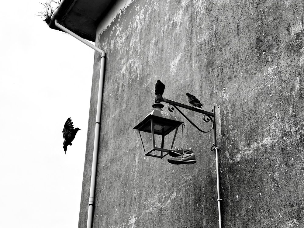 Photograph by Анастасия