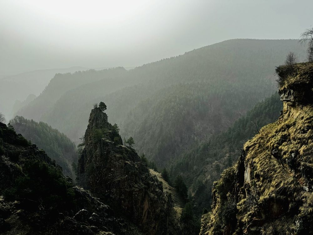 Photograph by Mariia Fedorova