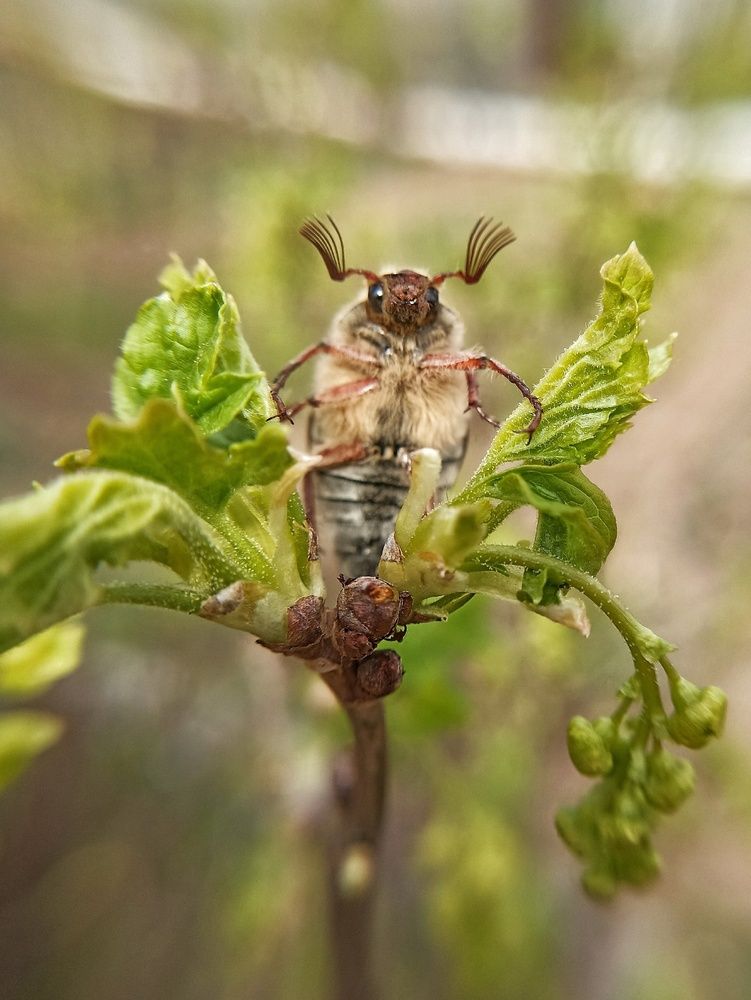 Photograph by Жанна Вахрамеева