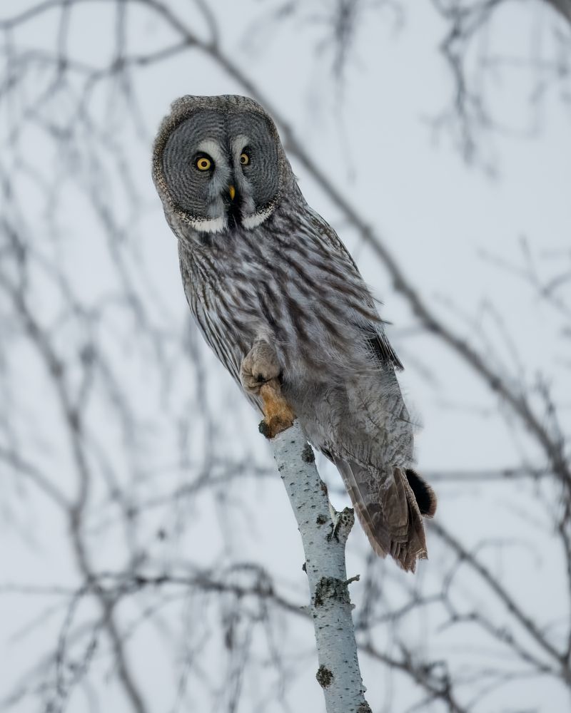 Photograph by Дубровская Екатерина