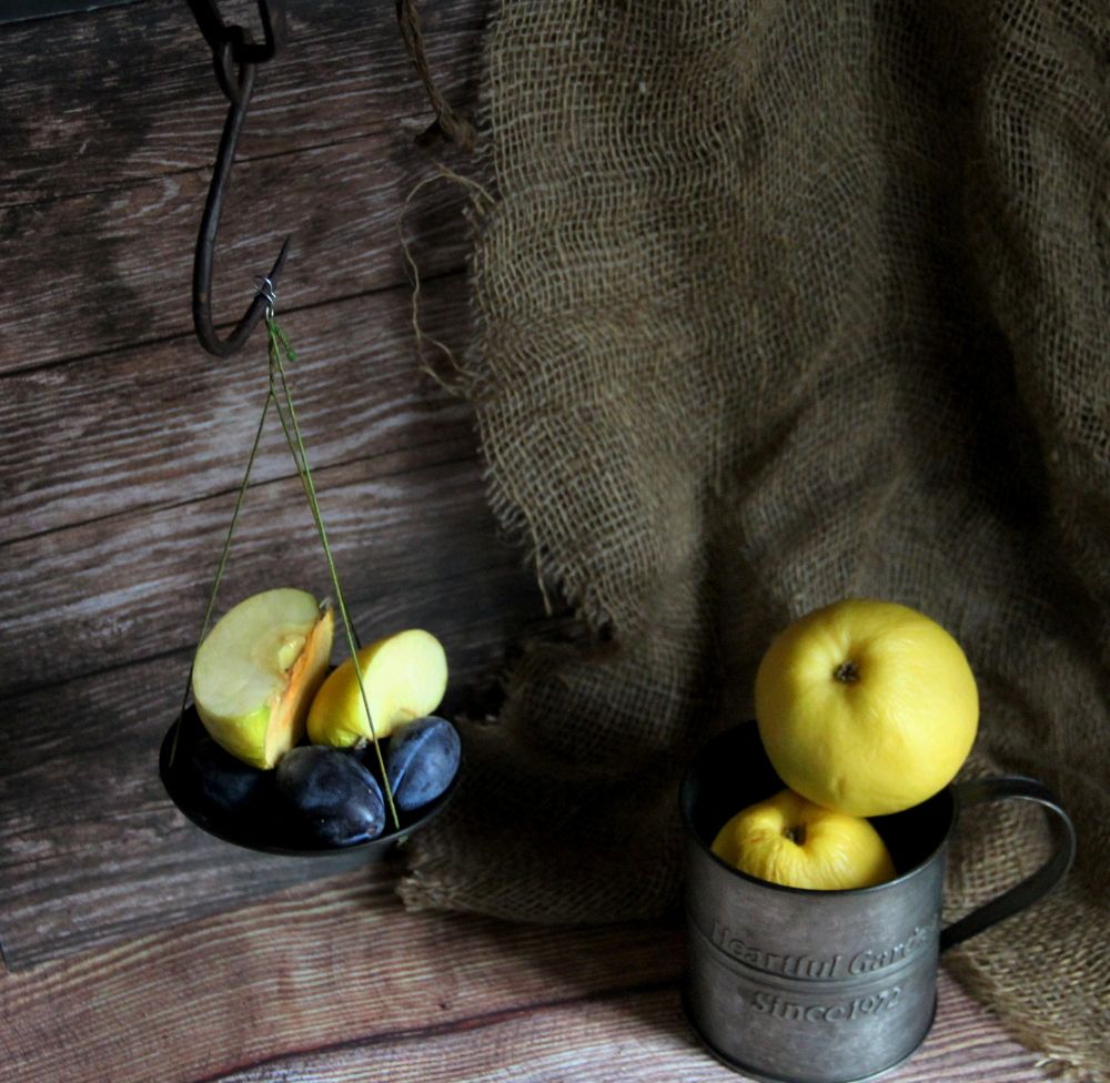 Photograph by Жанна Нечаева