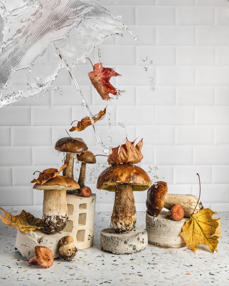 Photograph by Елена Данилушкина