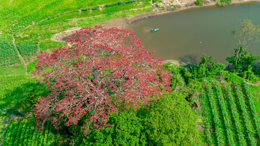 Photograph by Anh Tuấn Lê