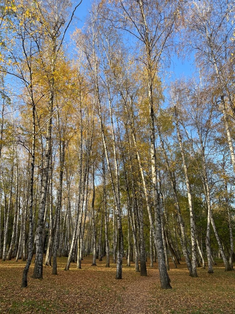 Photograph by Юлия Новичихина