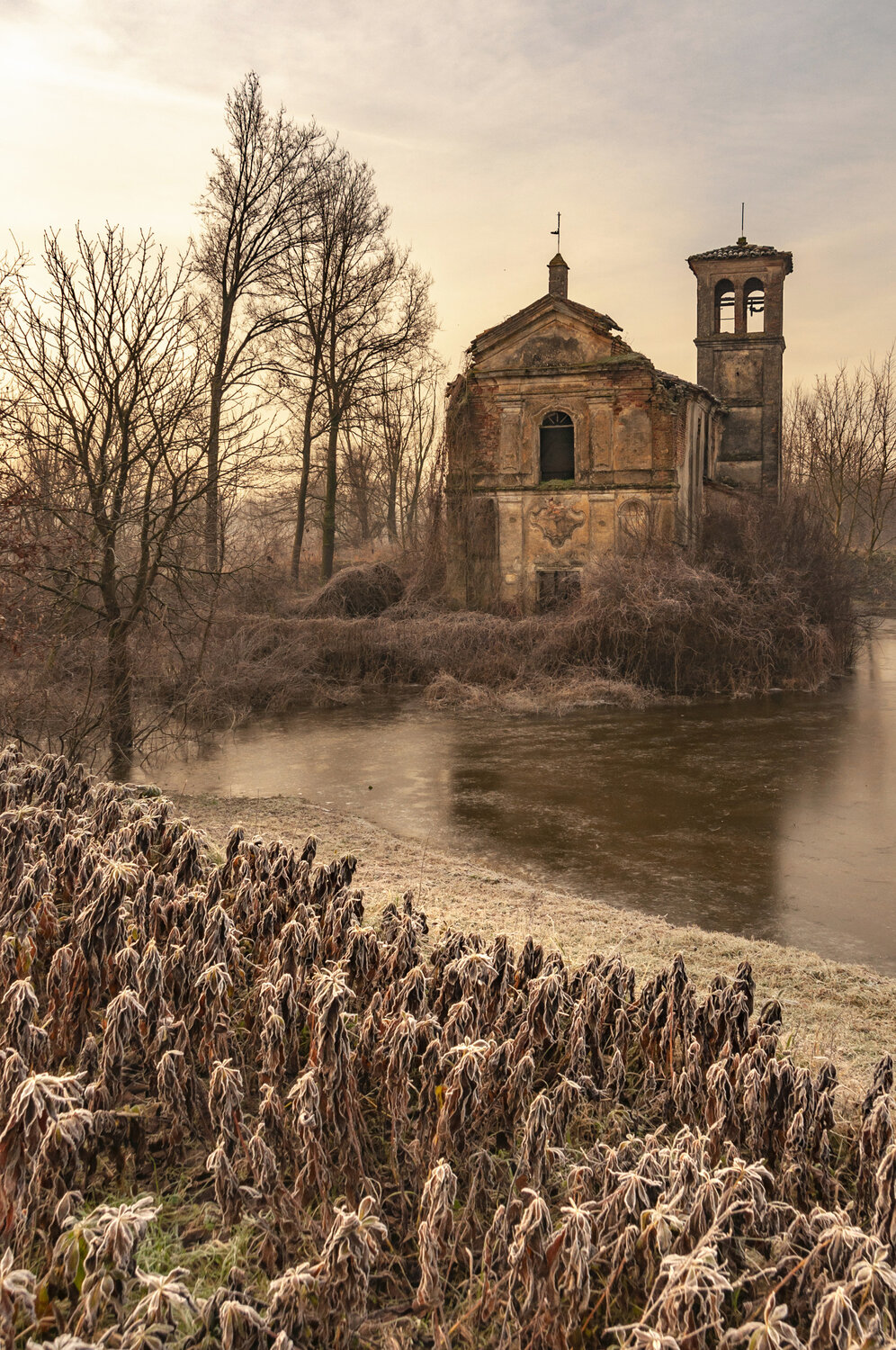 Photo #13372544