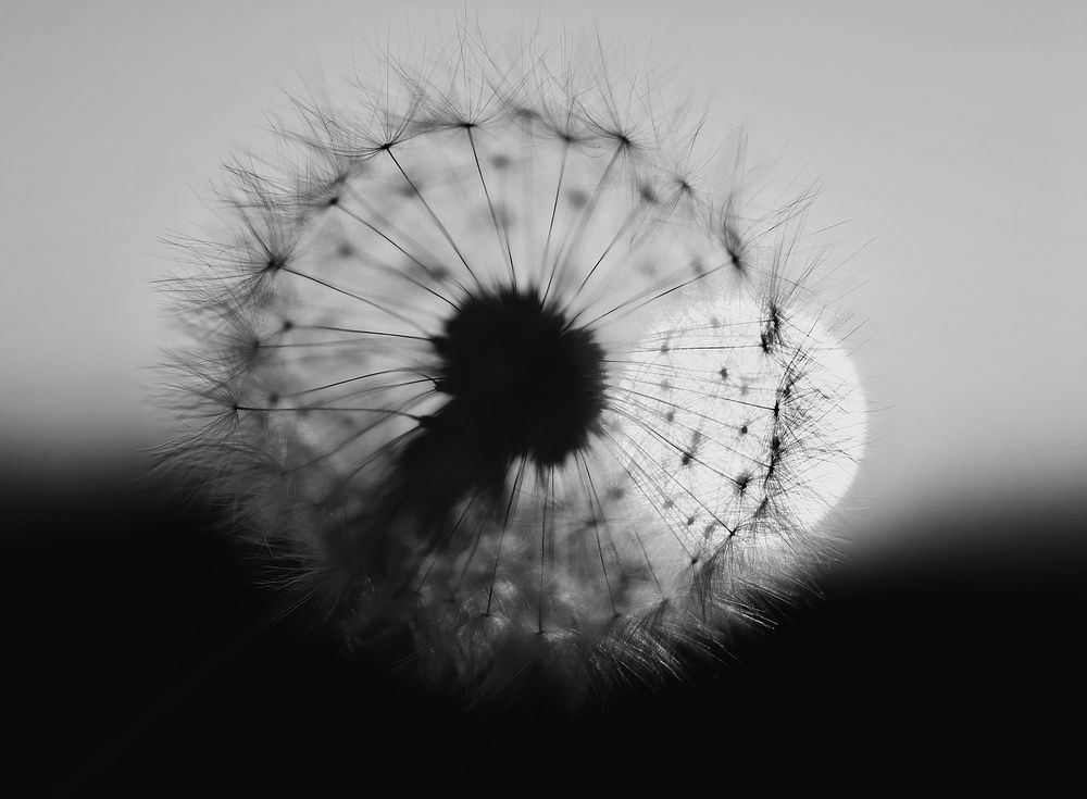 Photograph by Наталья Адалинская