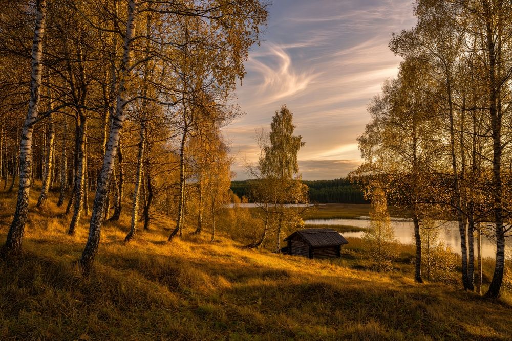 Photograph by Олег Гуляков