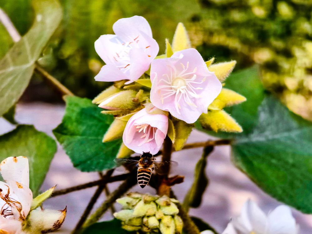 Photograph by Bilal Ahmad Khaki