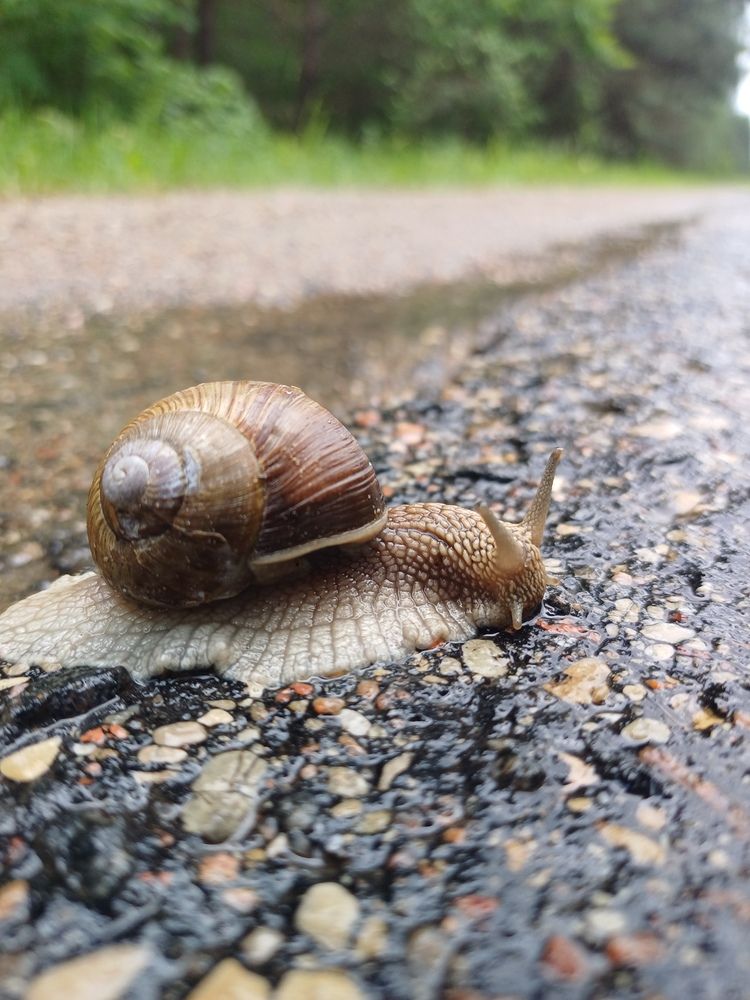 Photograph by Anna Grinkevich