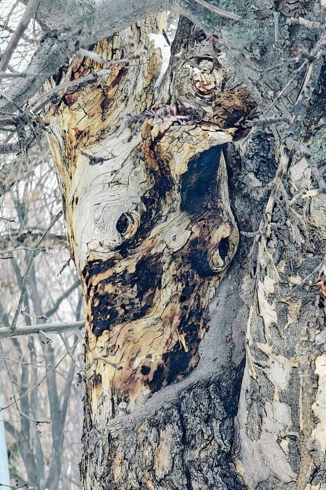 Photograph by Людмила Локтионова