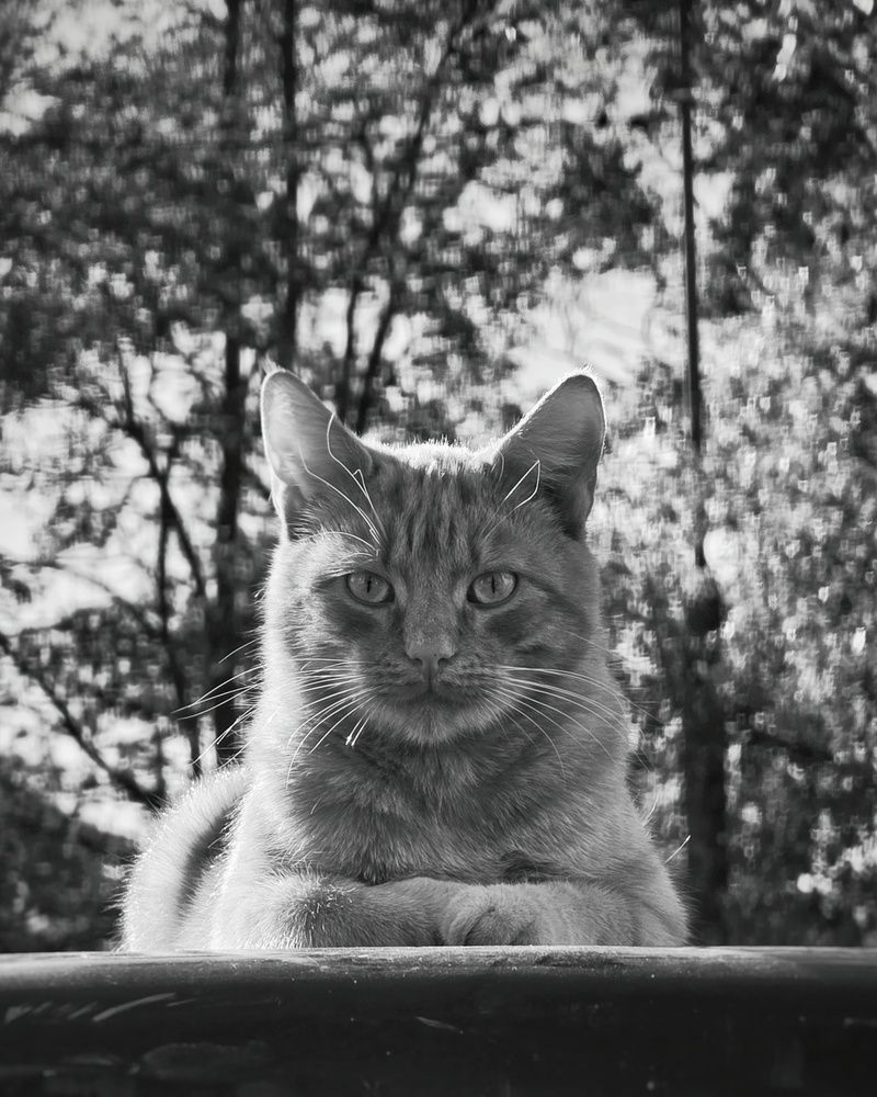 Photograph by Анастасия Кочетова