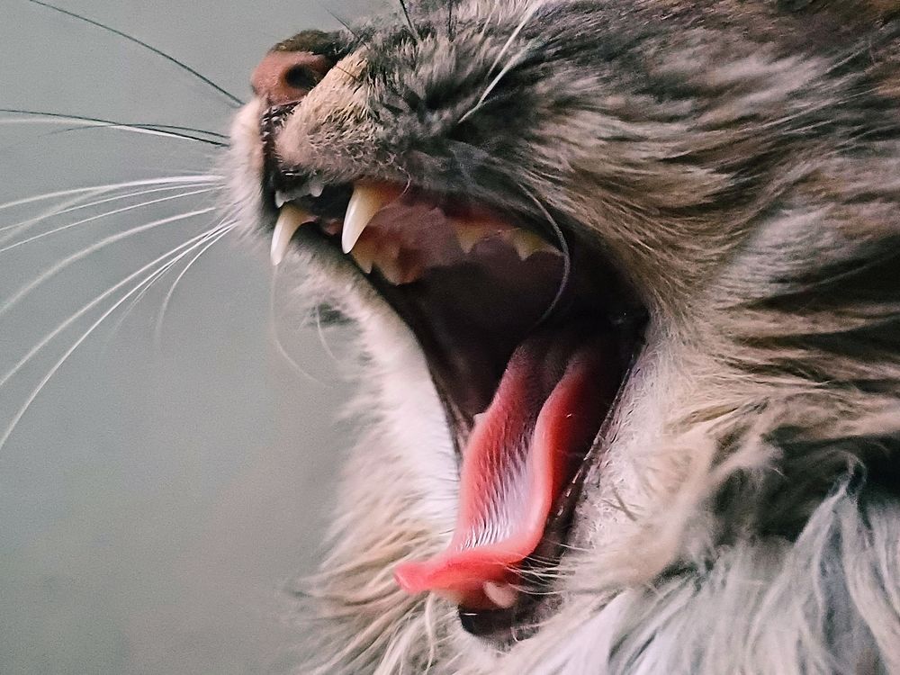 Photograph by Anna Grinkevich