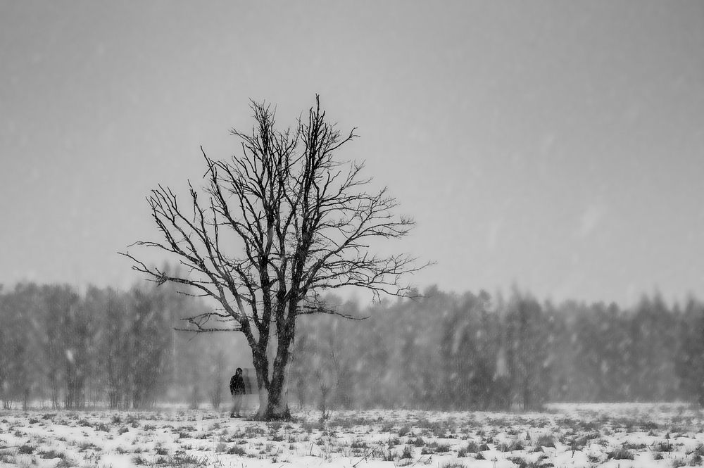 Photograph by Евгения Шулакова