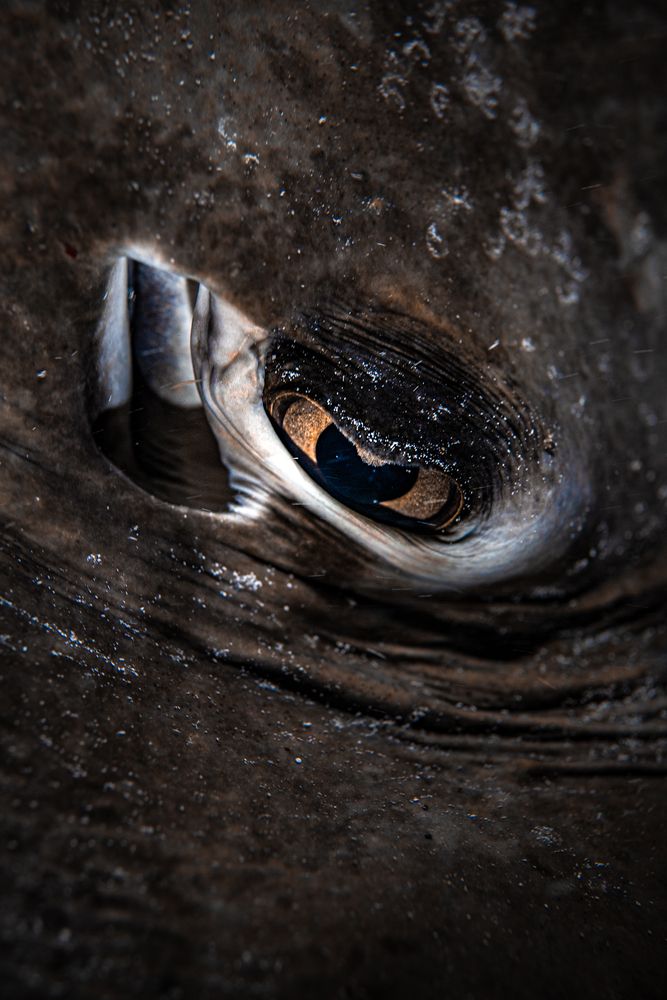 Photograph by JUAN M GUZMÁN