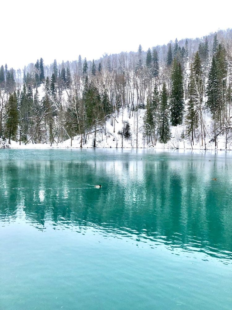 Photograph by Валерия Шишлова