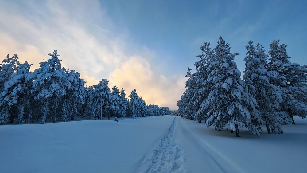 Photograph by Дамир Низамов