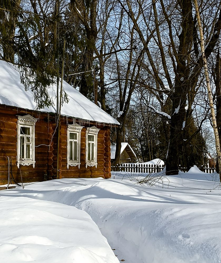 Фотография автора Елена Богданова