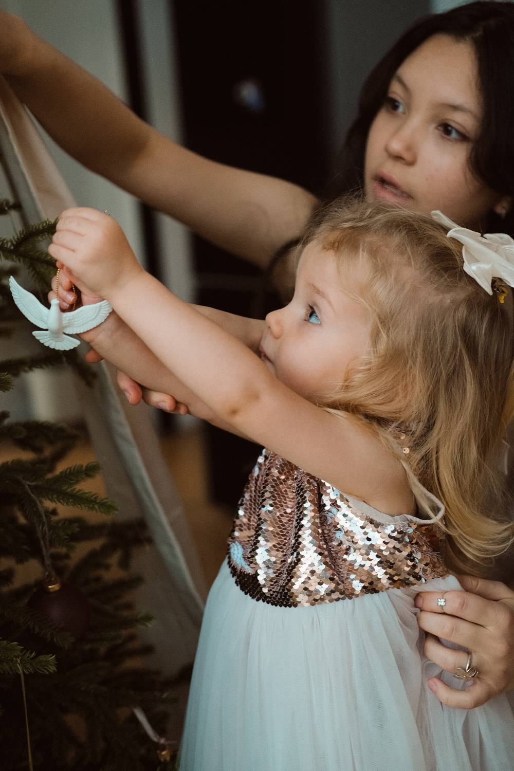 Photo #13372954