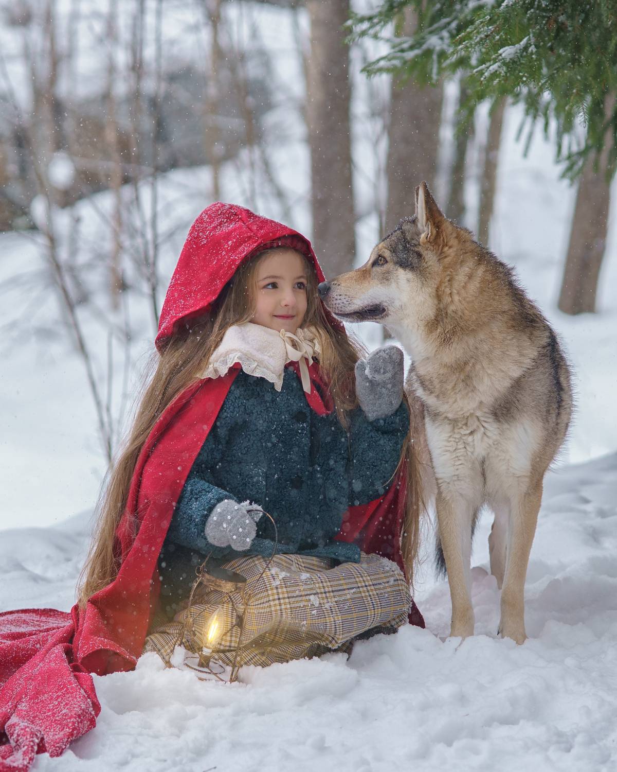 Фотография #13372974