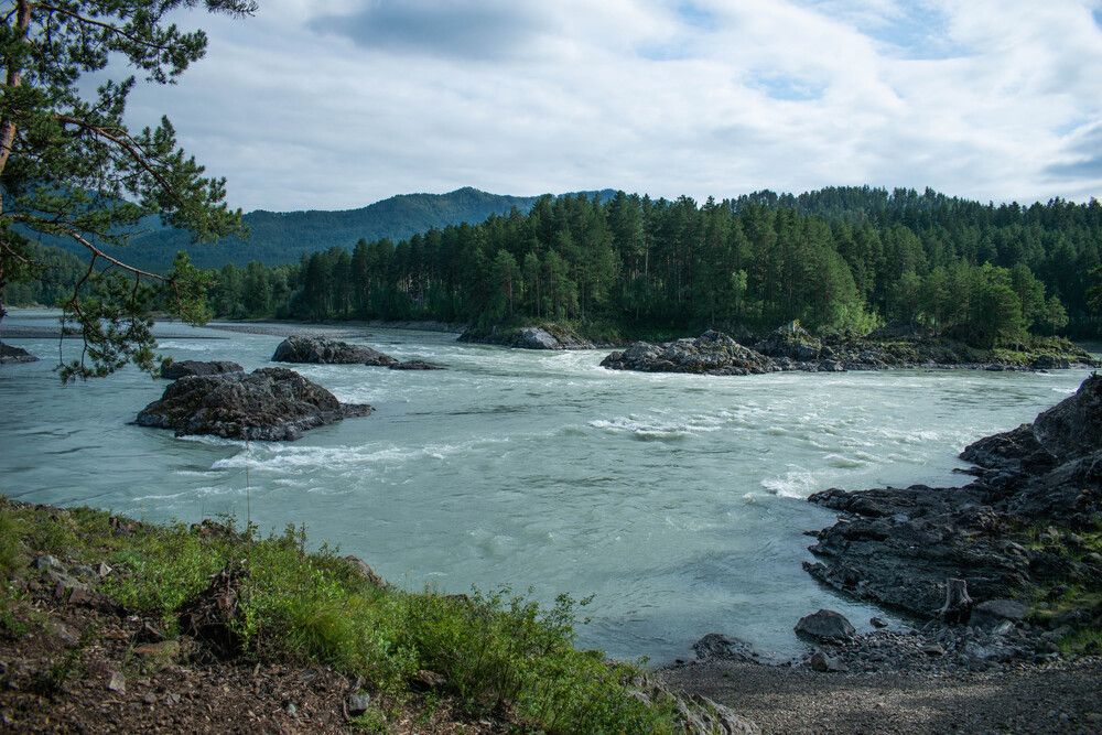 Катунь. Дворников камень.