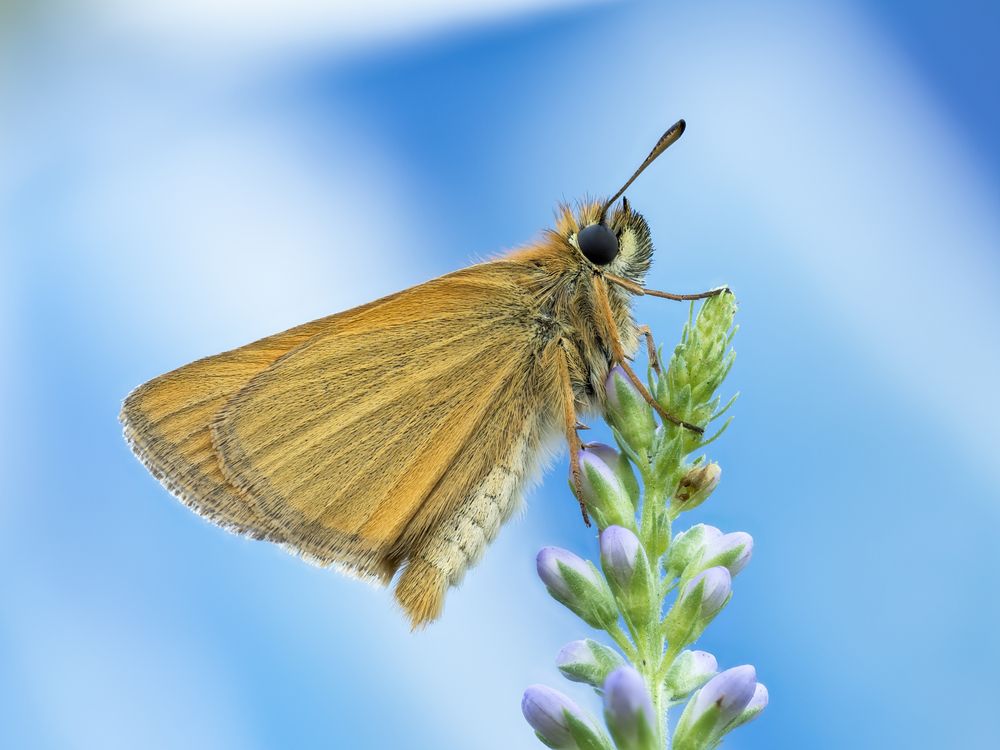 Photograph by Коровко Глеб