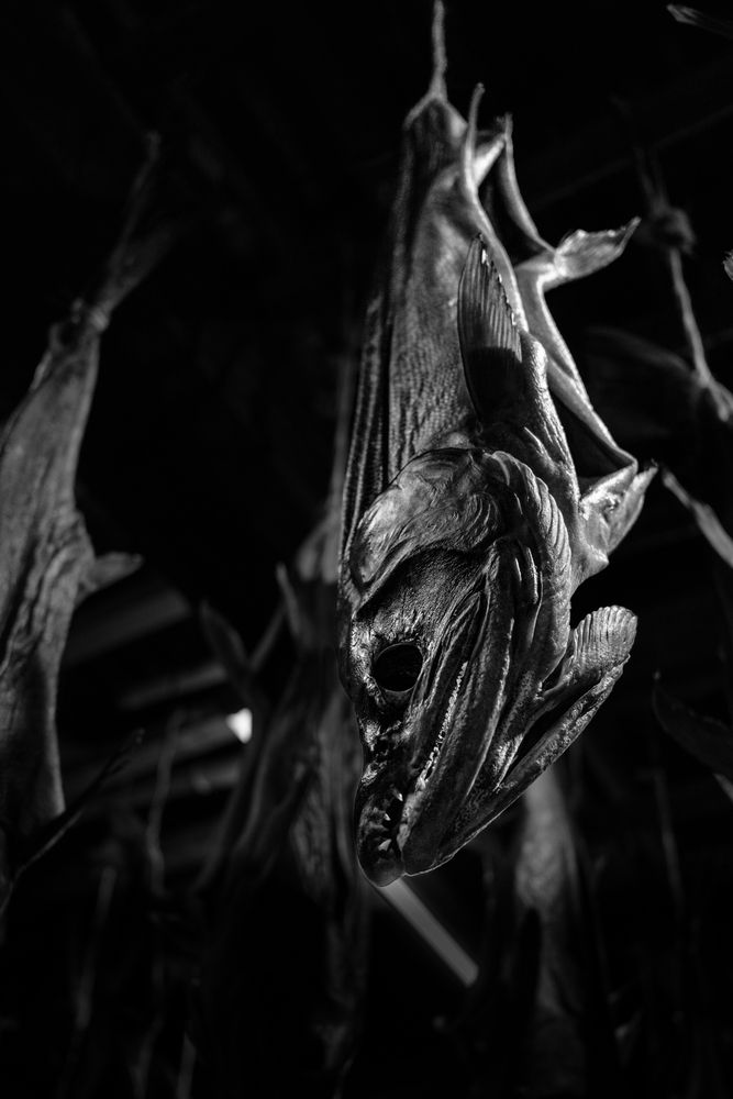 Photograph by KOTBE AYUMU