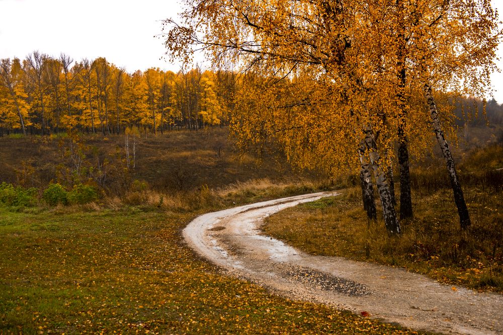 Photograph by Геннадий Комаричев