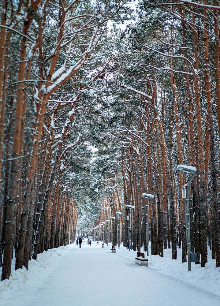 Photograph by Олега Тор