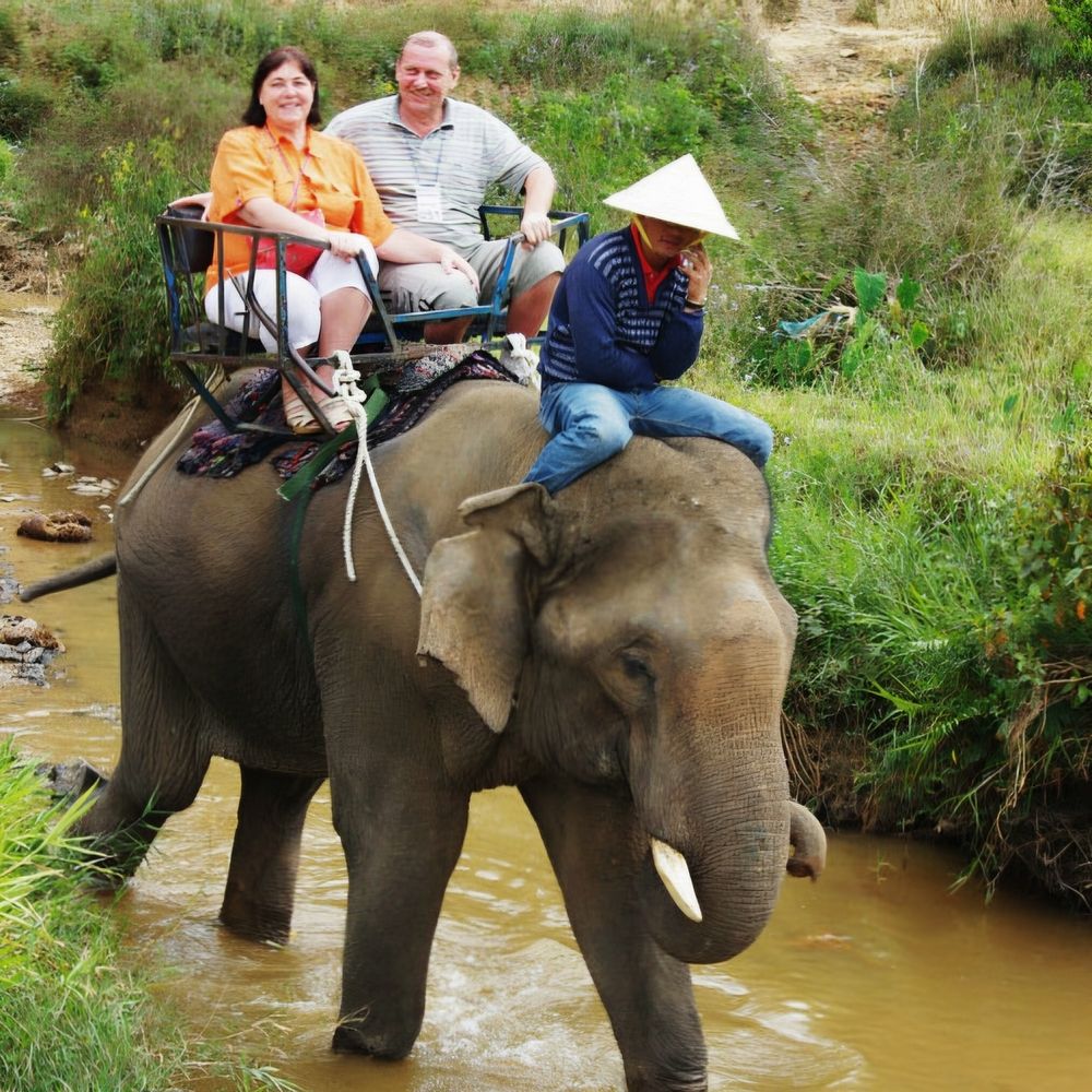 Фотография автора Tatiana Shirenko