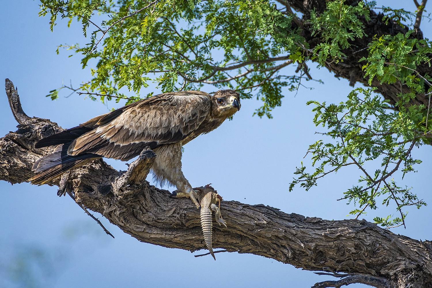 Look away,that\'s my lunch