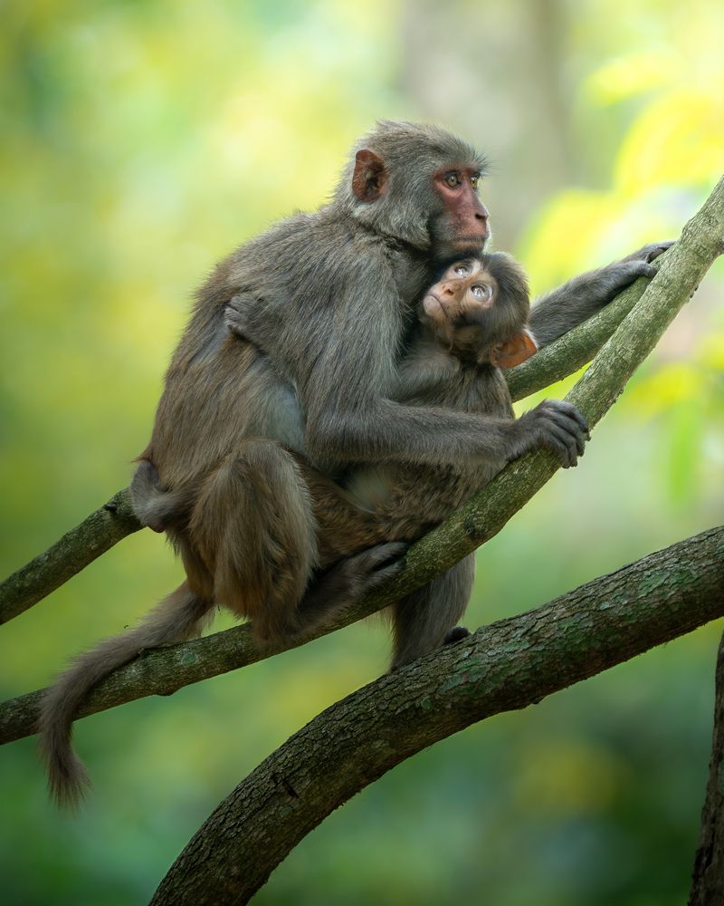 Photograph by Sayantan Mondal
