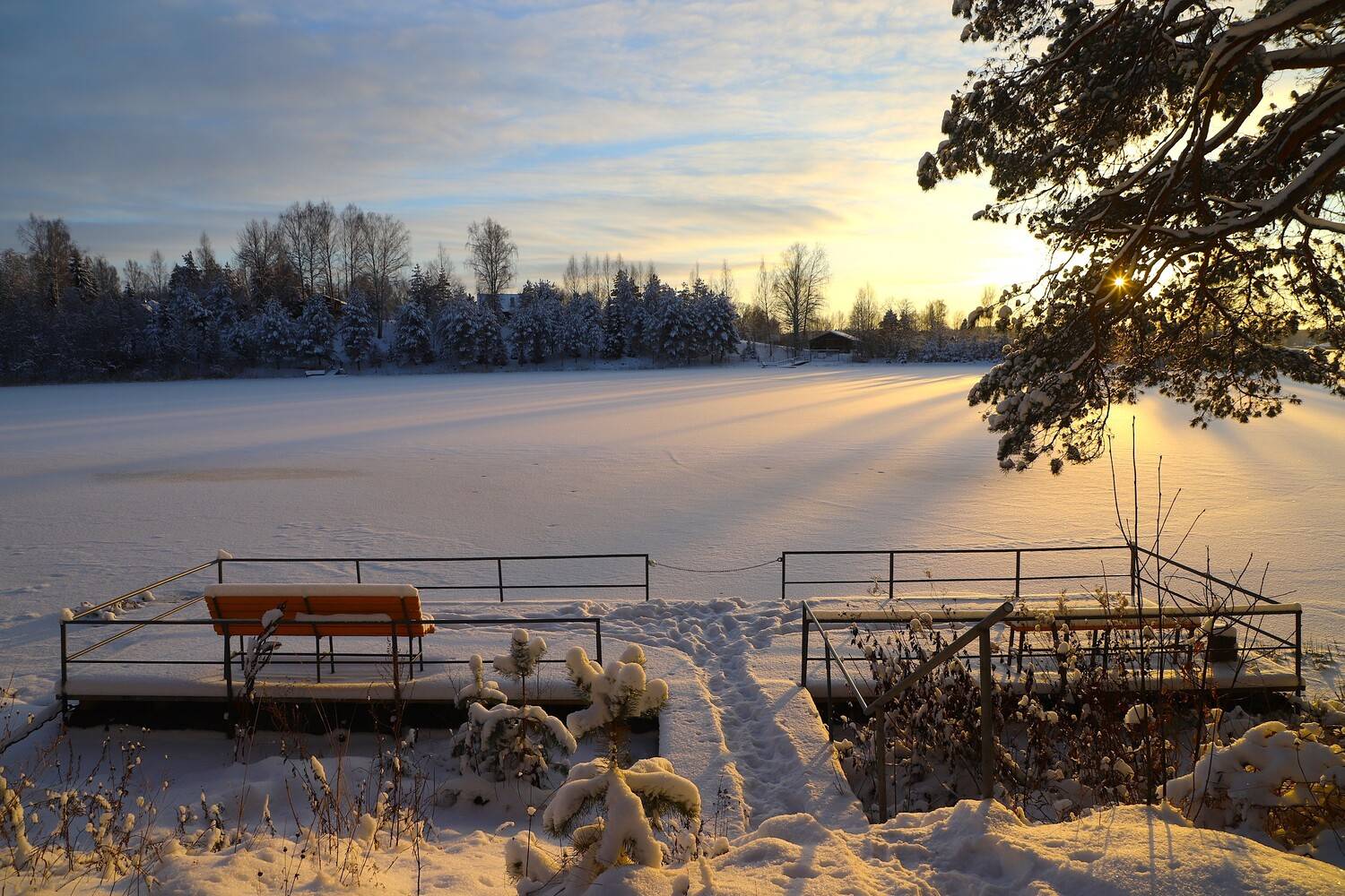 Фотография #13373252