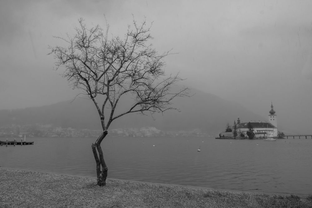 Photograph by Dmitry