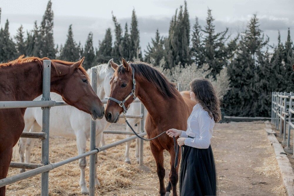 Photograph by Svetlana Shkolovaya