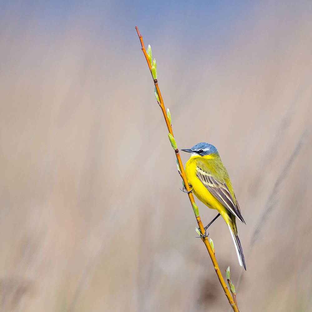 Photograph by Абросимов Александр