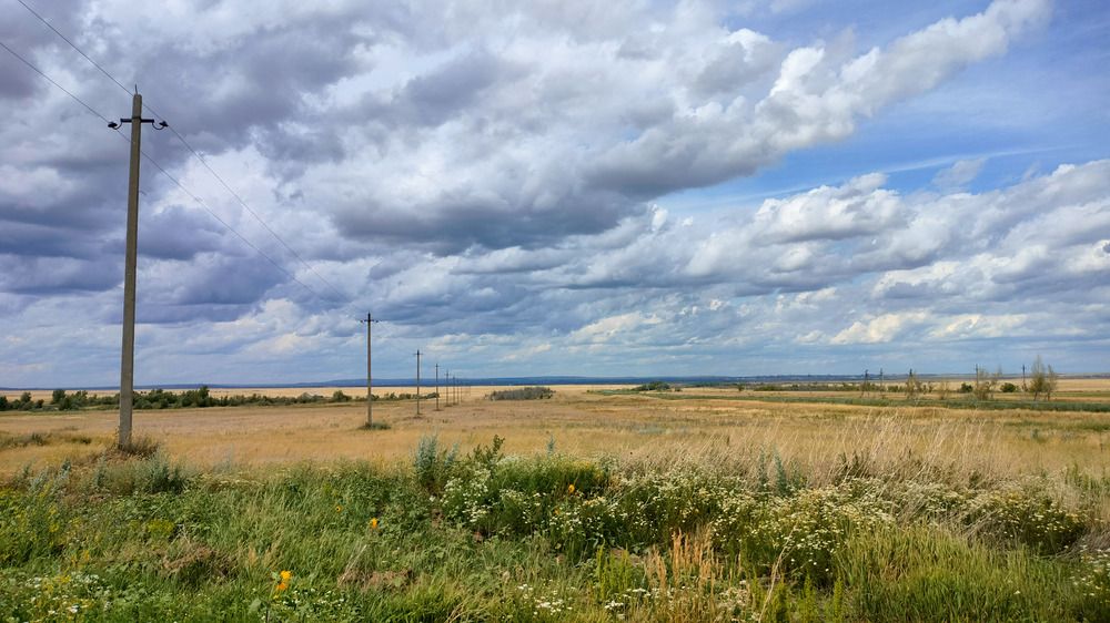 Photograph by Darya Dolinina