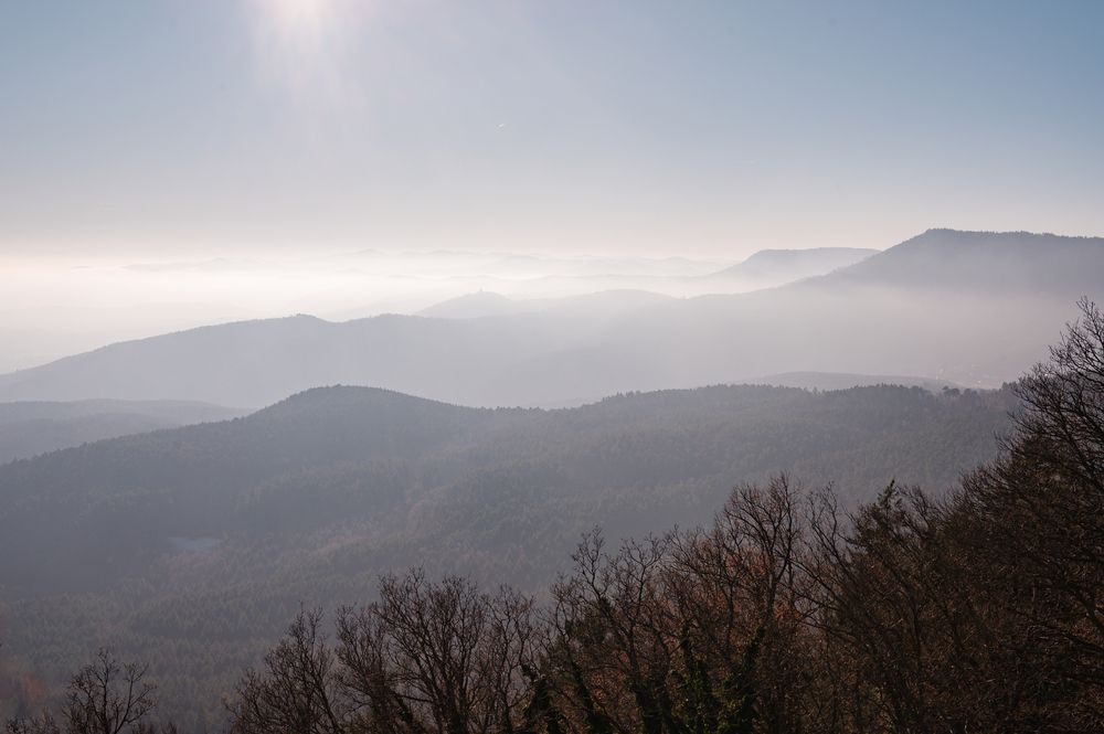 Фотография автора Вера Базилевская