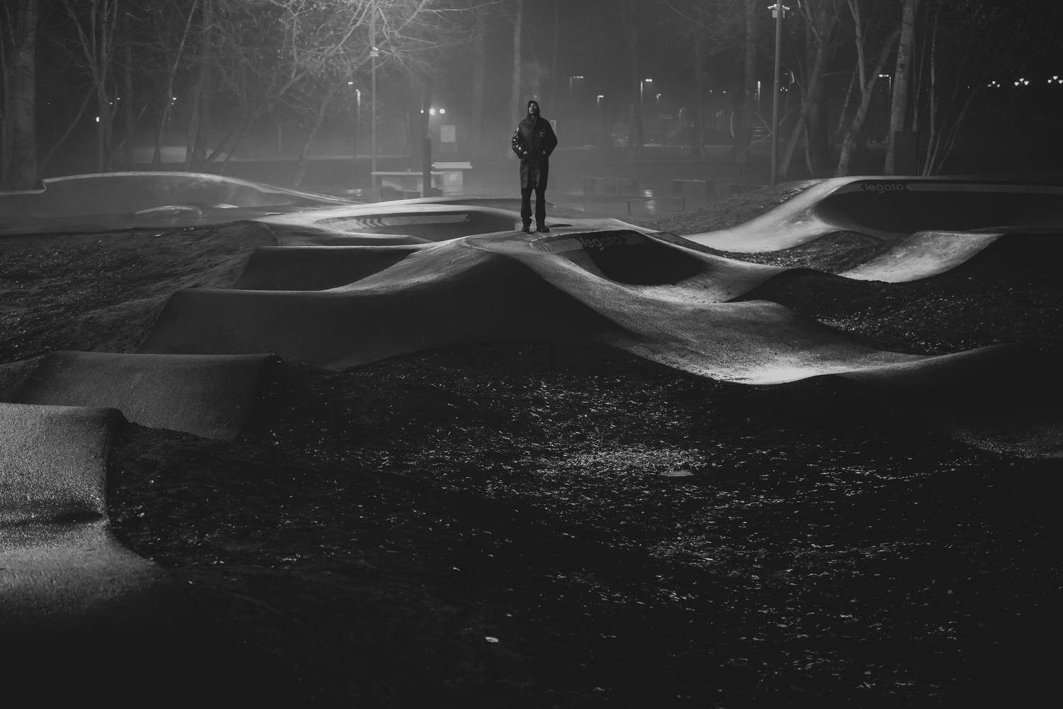 Photo #13373388