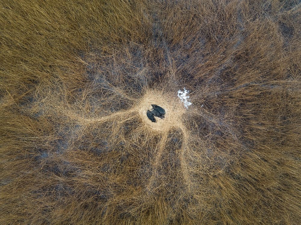 Photograph by Абросимов Александр