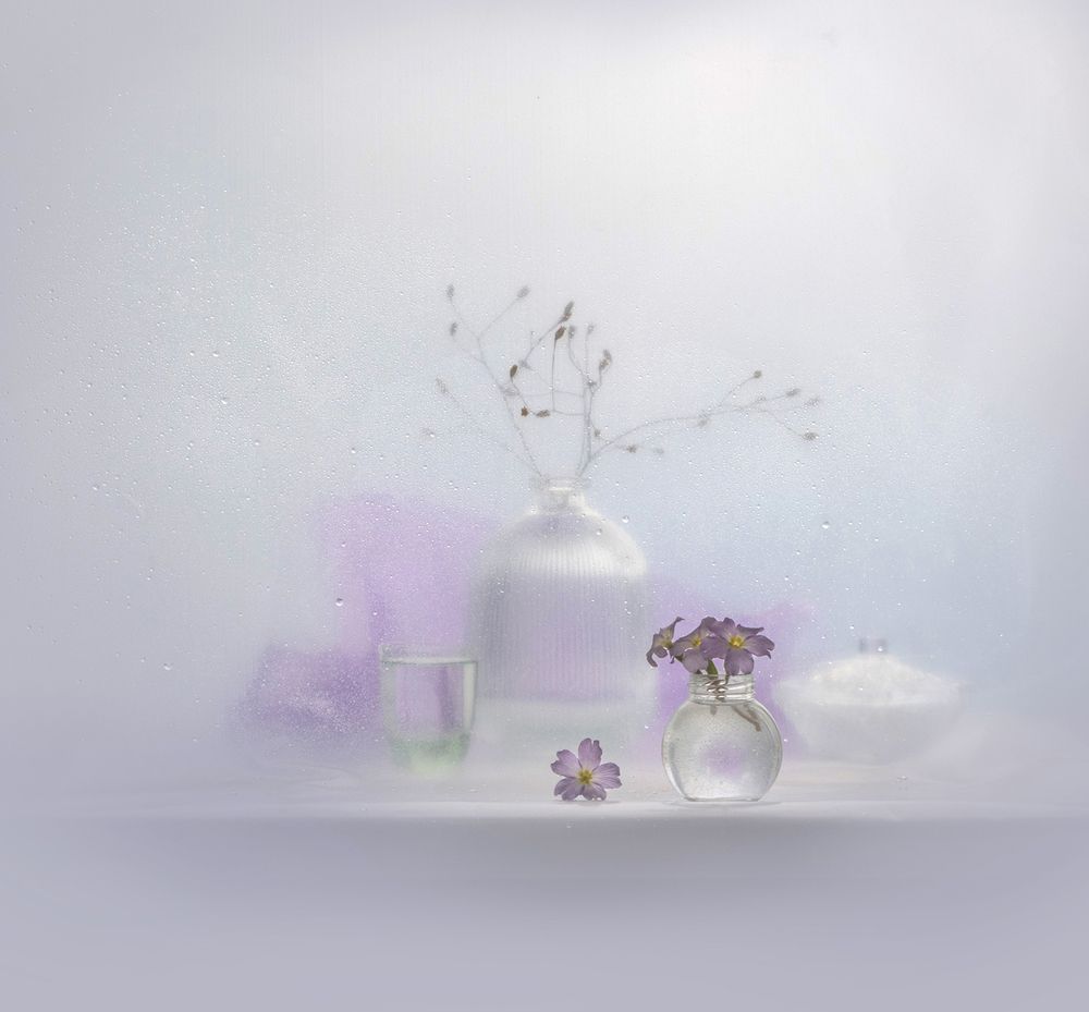 Фотография автора Шипунова Ирина