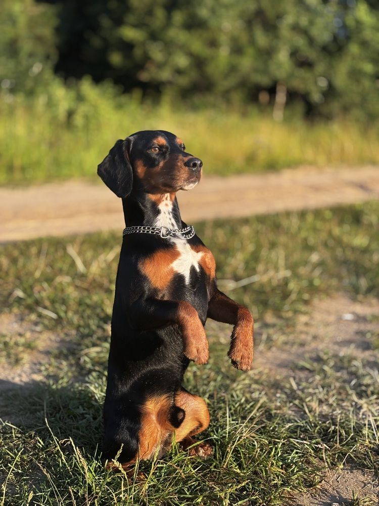 Photograph by Ольга Даньшина