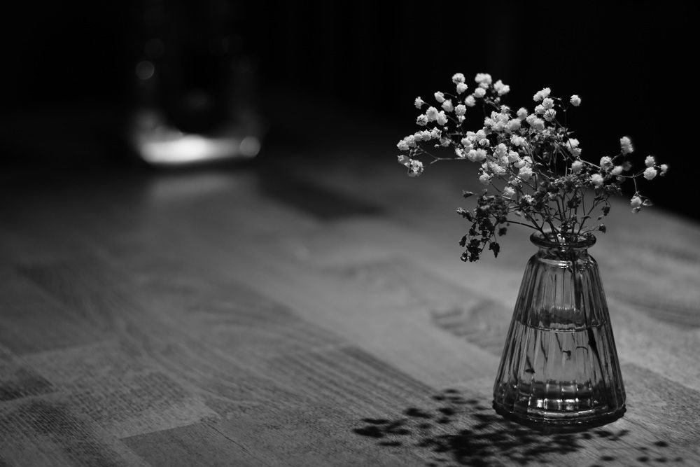 Photograph by Александр Курлович
