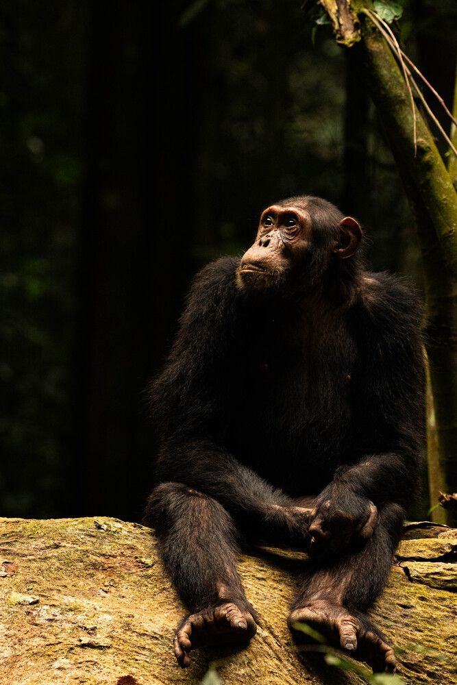 Photograph by Jonah Oliver Holmes