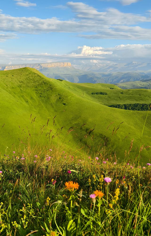 Фотография автора Светлана Зимина